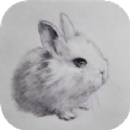 素描绘画技巧