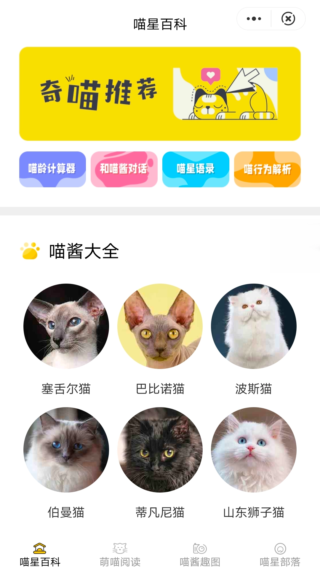 喵星百科手机最新版图3