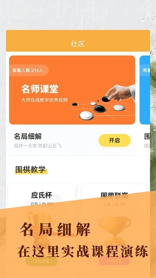 围棋入门练习安卓直装版图2