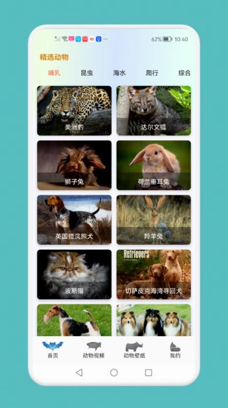 动物吧原版图2