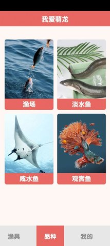 萌龙乐园图3