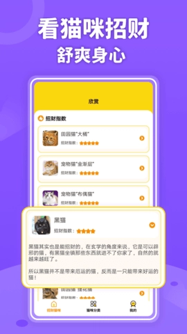 招财进猫手机免费版图1