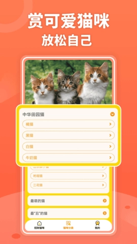 招财进猫手机免费版图3