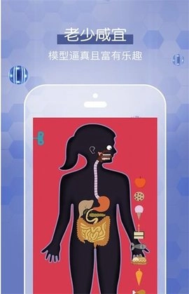 人体探秘通用版图1