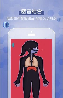 人体探秘通用版图2