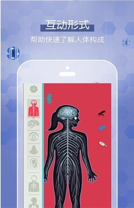 人体探秘通用版图3