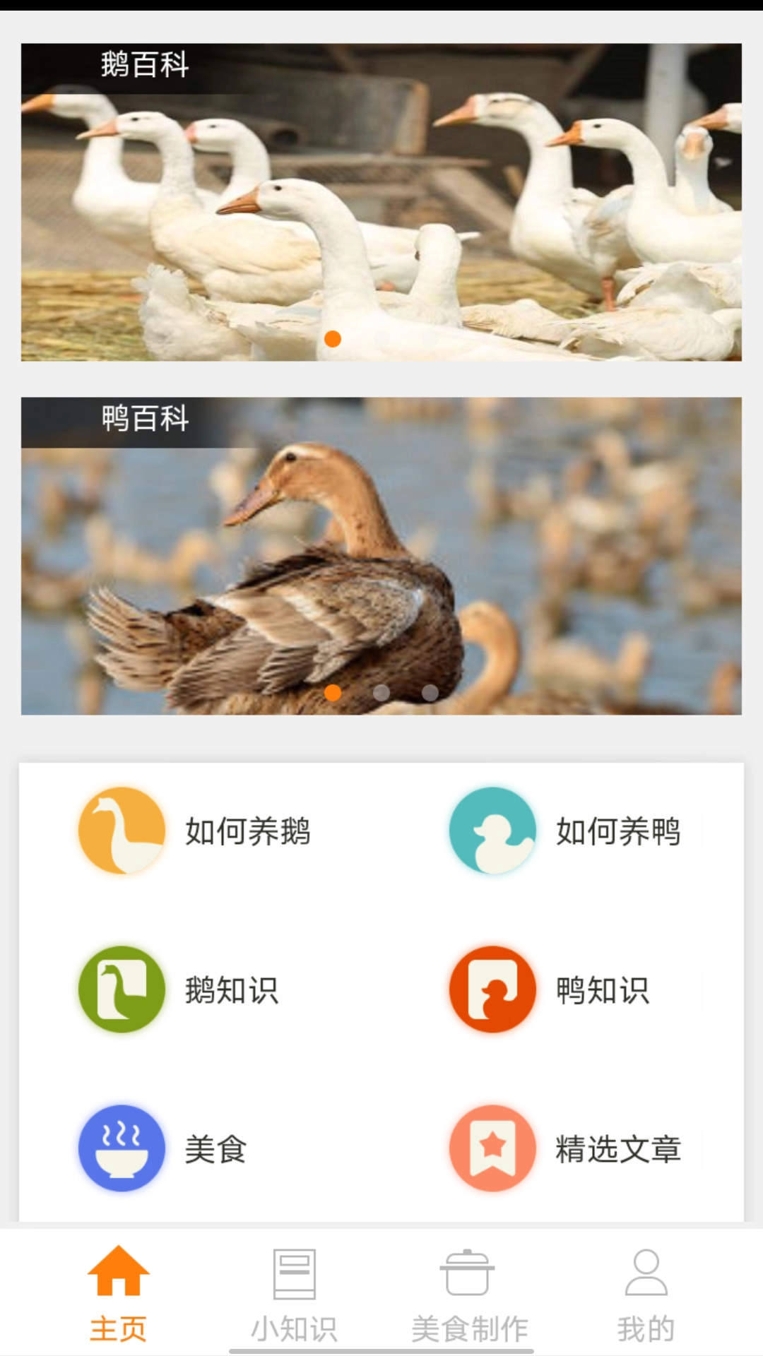 鹅鸭之家安卓官方版图1