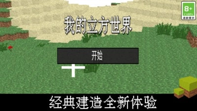 我的立方世界(2)