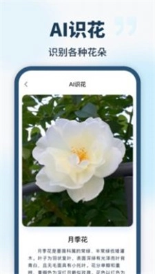 智能识别全能王最新版图1