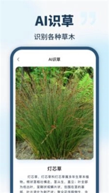 智能识别全能王最新版图2