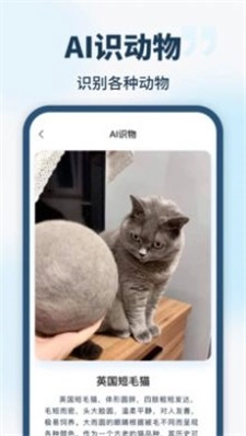 智能识别全能王最新版图3