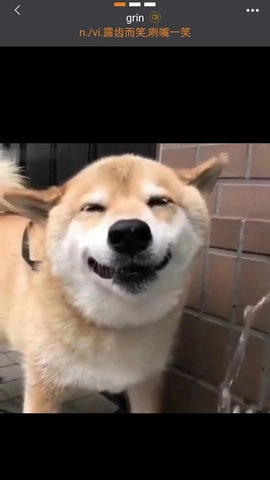 打墨免费原版图1