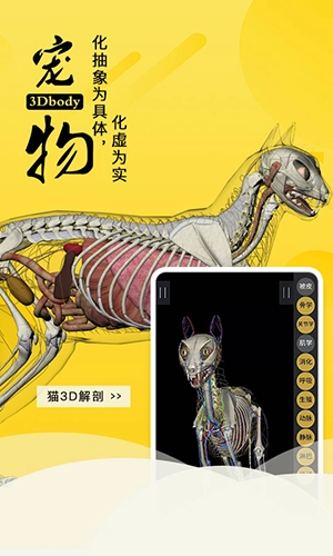 3dbody宠物免费版图1