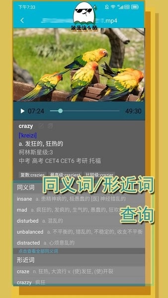 单词播放器app下载