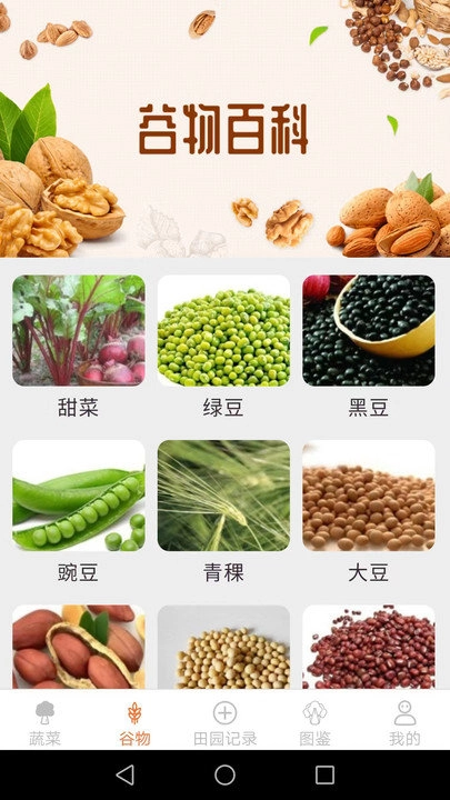 口袋田园安卓官方版图2