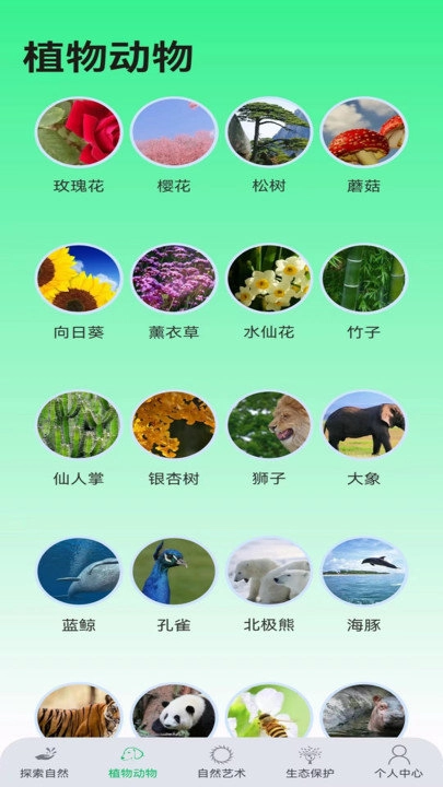 绿野乐园最新版图2