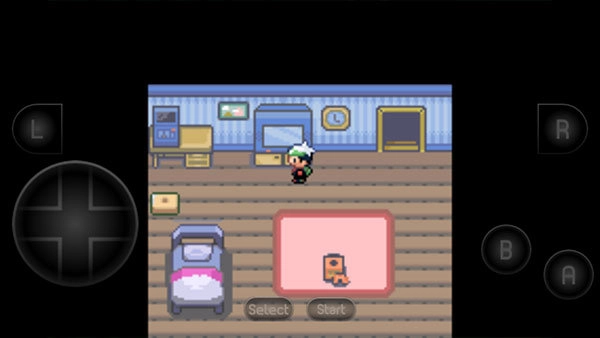 口袋妖怪空之花神(4)