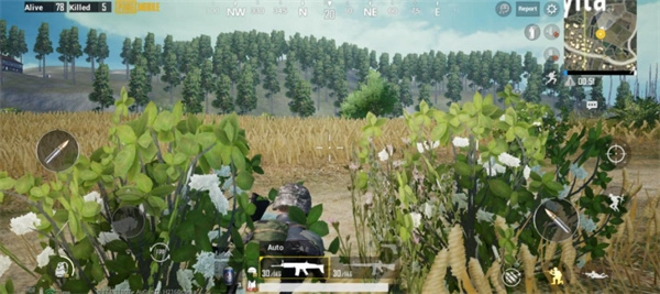 PUBG地铁逃生国际服安卓直装版
