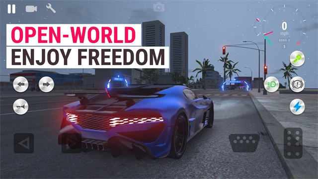 真实驾驶学校图4