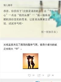 懂儿原版图3