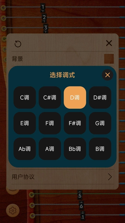 花舞古筝2