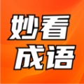 妙看成语
