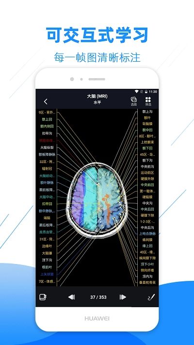 影像解剖图谱安卓免费版图2