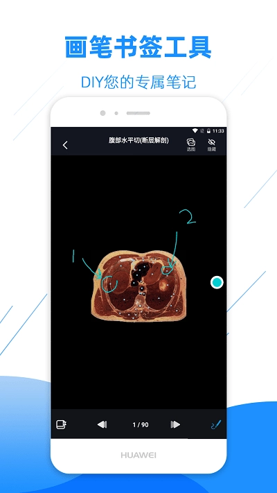影像解剖图谱安卓免费版图3