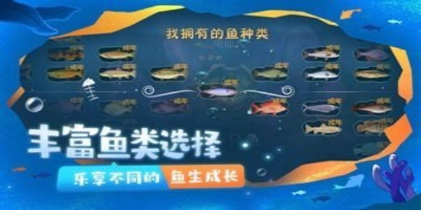 一只鱼免费版