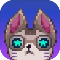 赛博猫