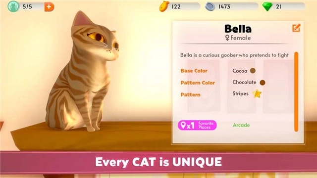 我的猫咪俱乐部最新版图2
