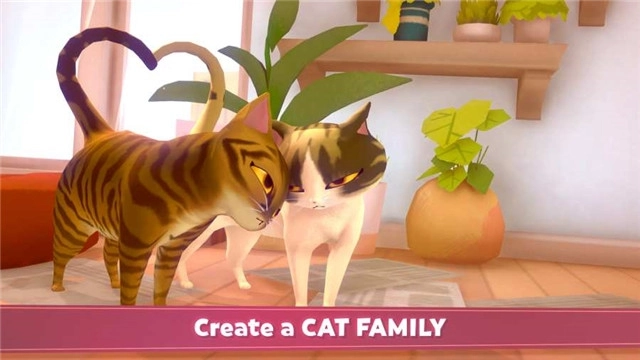 我的猫咪俱乐部最新版图3