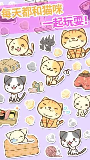 猫咪的毛图2