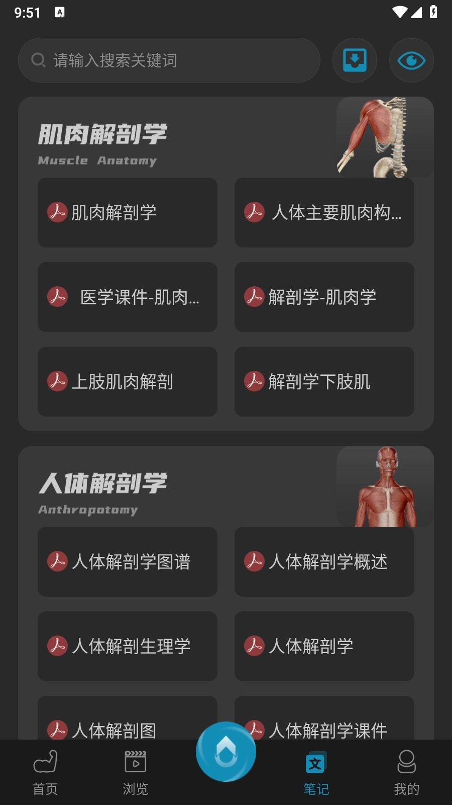 3D肌肉解剖官方正版图3