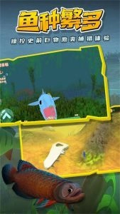 海底巨兽鱼界争雄(1)