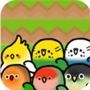 Parakeet Rush最新免费版