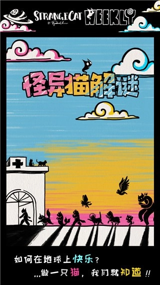 怪异猫解谜(4)