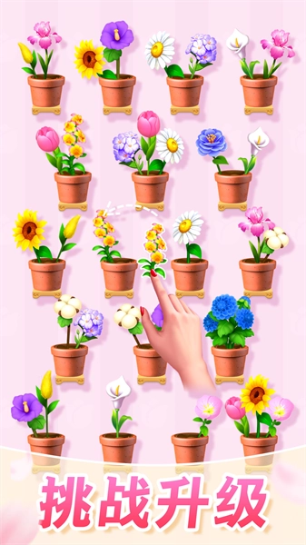 插花消除游戏绿色版图1