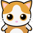 加查猫咪