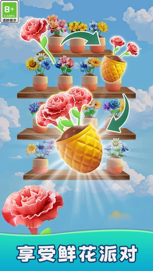 鲜花收纳(1)