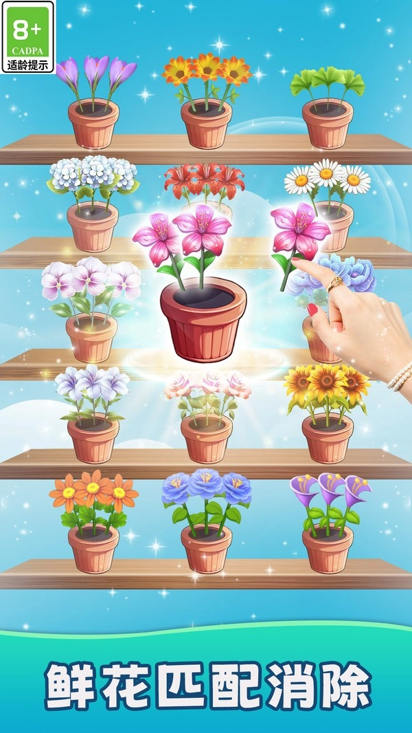 鲜花收纳(2)