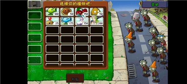 植物娘大战僵尸新版