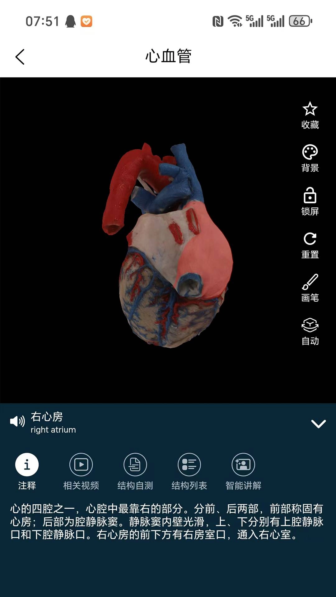 云解剖无广告版图4