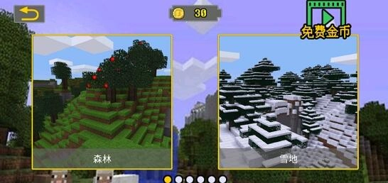 我的积木像素世界(1)