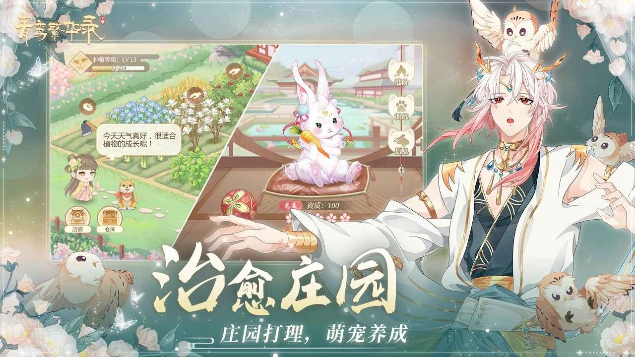 青鸾繁华录正版(5)