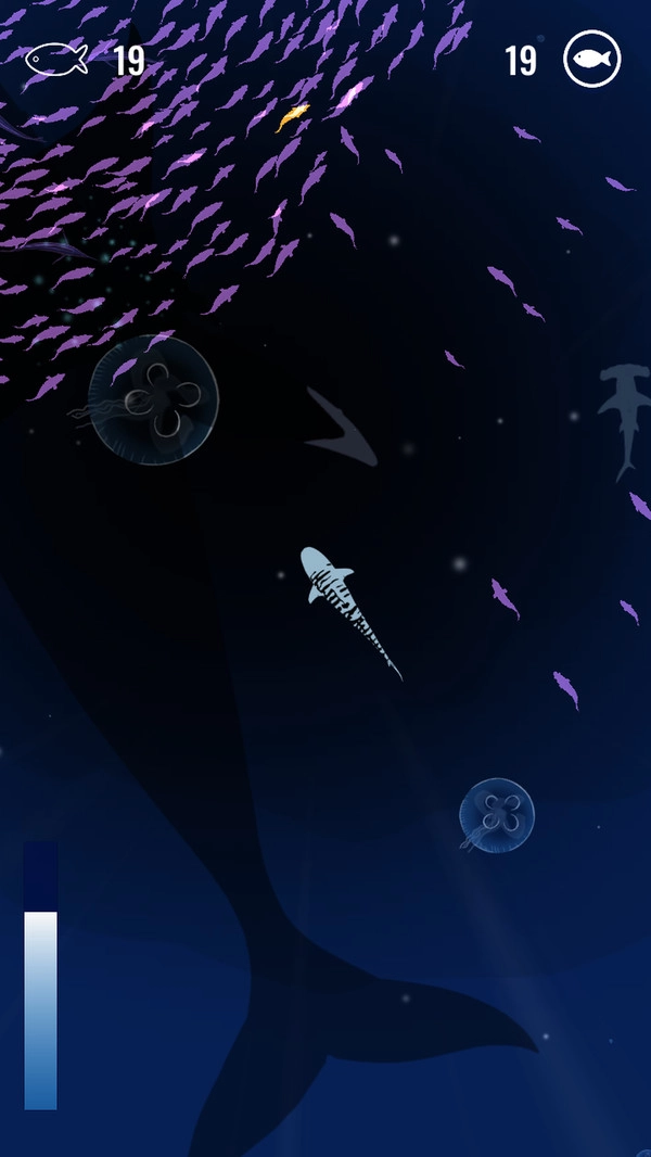 鱼群猎食者游戏完整版图2