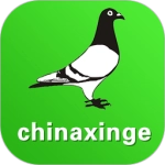中国信鸽信息网官方正版