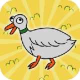 鸭子的日常游戏官方版