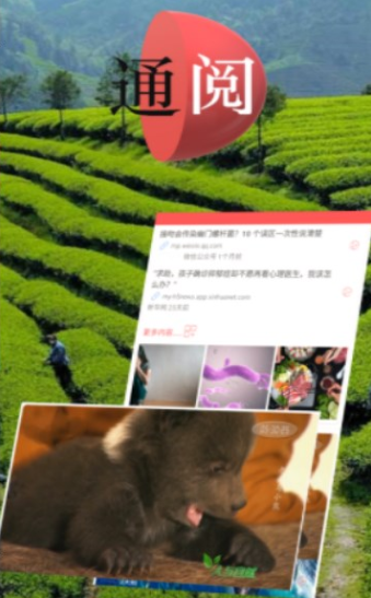 通阅百科安卓版4