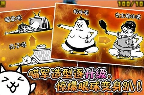 猫咪大战(2)